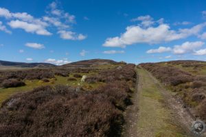 Glen Esk, Angus, Scotland