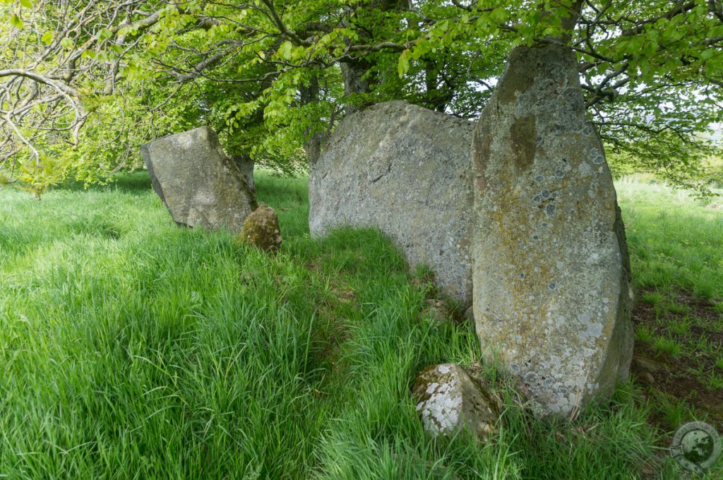 Standing Stones in Aberdeenshire, Scotland